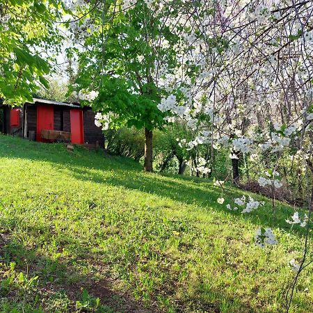 Bed and Breakfast La Collina Delle Acacie Grumolo Pedemonte Zewnętrze zdjęcie