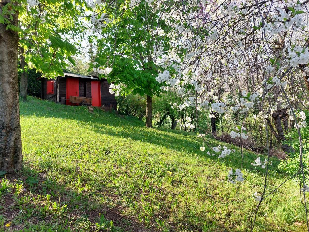 Bed and Breakfast La Collina Delle Acacie Grumolo Pedemonte Zewnętrze zdjęcie